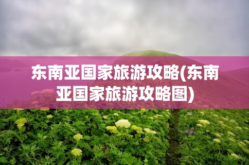 东南亚国家旅游攻略(东南亚国家旅游攻略图)