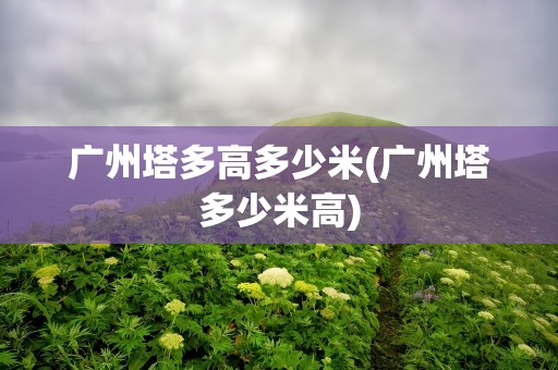 广州塔多高多少米(广州塔多少米高)