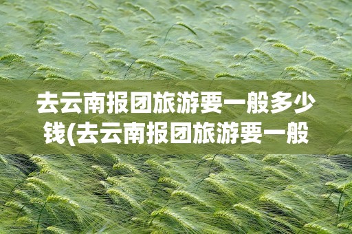 去云南报团旅游要一般多少钱(去云南报团旅游要一般多少钱一天)