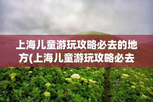 上海儿童游玩攻略必去的地方(上海儿童游玩攻略必去的地方推荐)