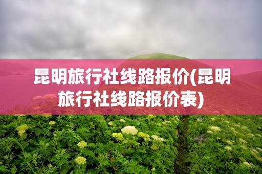 昆明旅行社线路报价(昆明旅行社线路报价表)