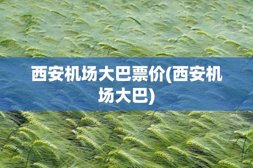西安机场大巴票价(西安机场大巴)