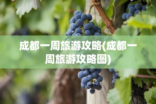 成都一周旅游攻略(成都一周旅游攻略图)