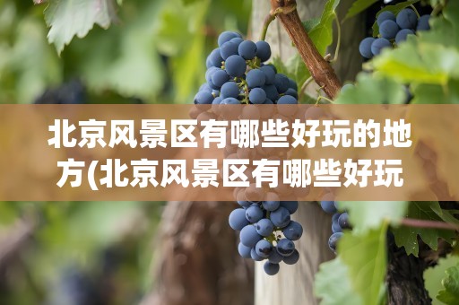 北京风景区有哪些好玩的地方(北京风景区有哪些好玩的地方秋天)