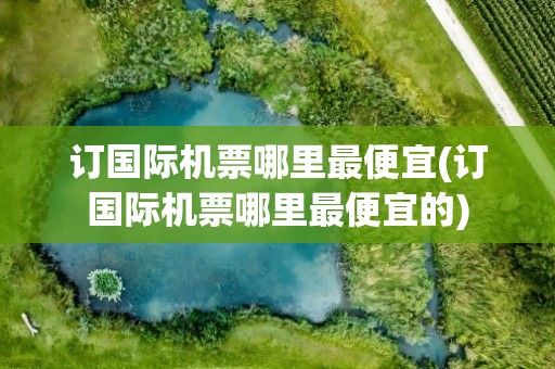 订国际机票哪里最便宜(订国际机票哪里最便宜的)