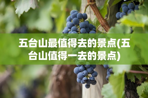 五台山最值得去的景点(五台山值得一去的景点)