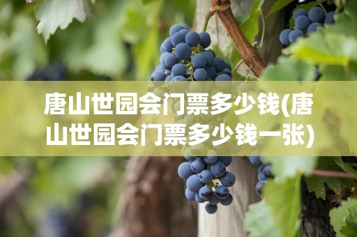 唐山世园会门票多少钱(唐山世园会门票多少钱一张)