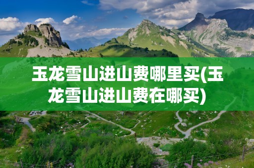 玉龙雪山进山费哪里买(玉龙雪山进山费在哪买)