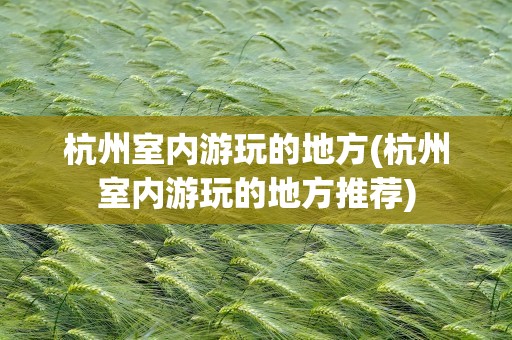 杭州室内游玩的地方(杭州室内游玩的地方推荐)