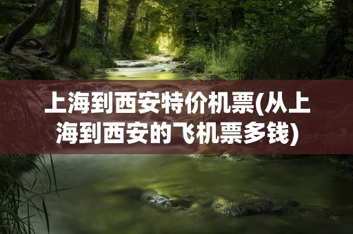 上海到西安特价机票(从上海到西安的飞机票多钱)