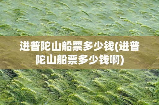 进普陀山船票多少钱(进普陀山船票多少钱啊)