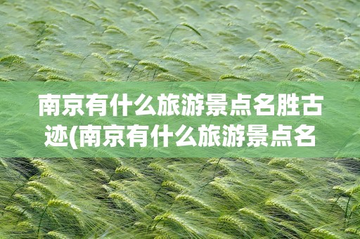 南京有什么旅游景点名胜古迹(南京有什么旅游景点名胜古迹的)
