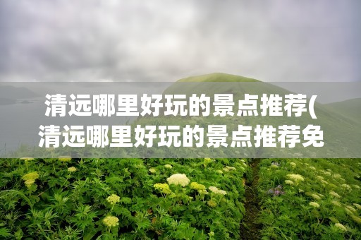清远哪里好玩的景点推荐(清远哪里好玩的景点推荐免费)
