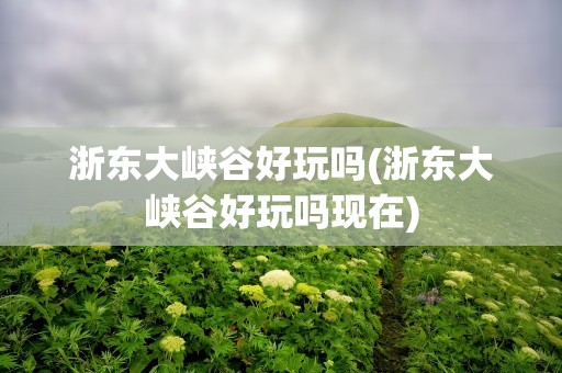 浙东大峡谷好玩吗(浙东大峡谷好玩吗现在)