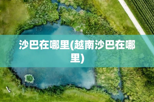 沙巴在哪里(越南沙巴在哪里)