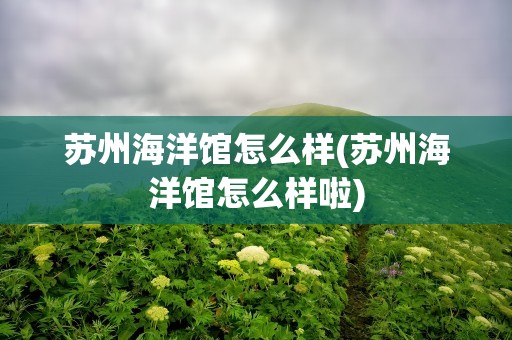 苏州海洋馆怎么样(苏州海洋馆怎么样啦)
