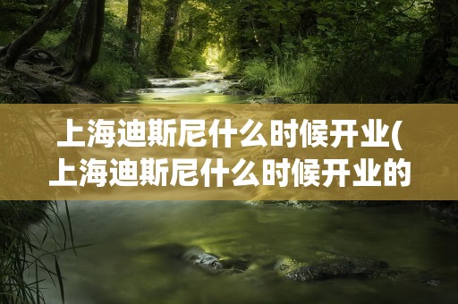 上海迪斯尼什么时候开业(上海迪斯尼什么时候开业的呢)