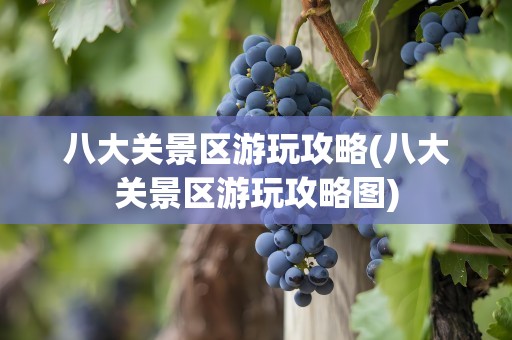 八大关景区游玩攻略(八大关景区游玩攻略图)