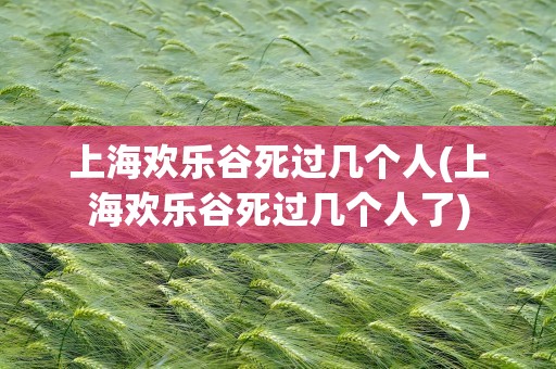 上海欢乐谷死过几个人(上海欢乐谷死过几个人了)