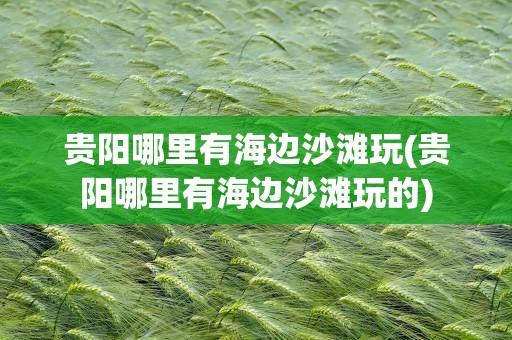 贵阳哪里有海边沙滩玩(贵阳哪里有海边沙滩玩的)