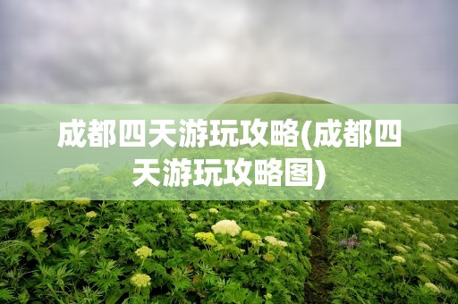 成都四天游玩攻略(成都四天游玩攻略图)