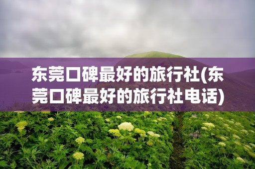 东莞口碑最好的旅行社(东莞口碑最好的旅行社电话)