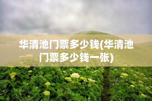 华清池门票多少钱(华清池门票多少钱一张)