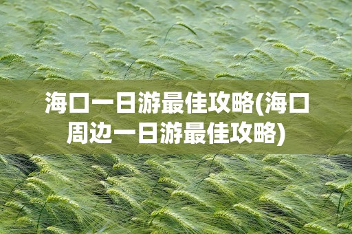 海口一日游最佳攻略(海口周边一日游最佳攻略)