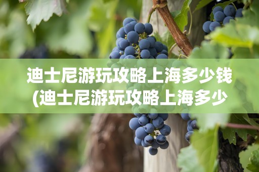 迪士尼游玩攻略上海多少钱(迪士尼游玩攻略上海多少钱一天)