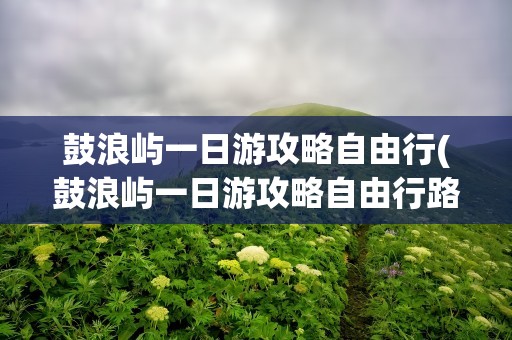 鼓浪屿一日游攻略自由行(鼓浪屿一日游攻略自由行路线)