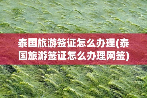 泰国旅游签证怎么办理(泰国旅游签证怎么办理网签)