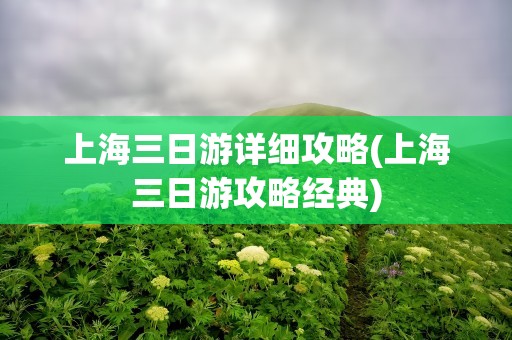 上海三日游详细攻略(上海三日游攻略经典)