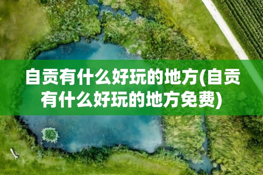 自贡有什么好玩的地方(自贡有什么好玩的地方免费)