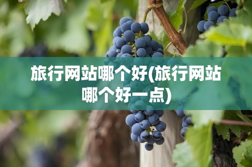 旅行网站哪个好(旅行网站哪个好一点)