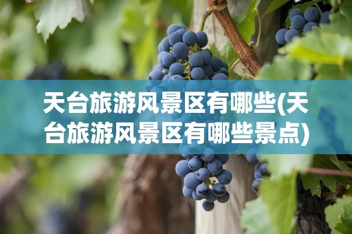 天台旅游风景区有哪些(天台旅游风景区有哪些景点)