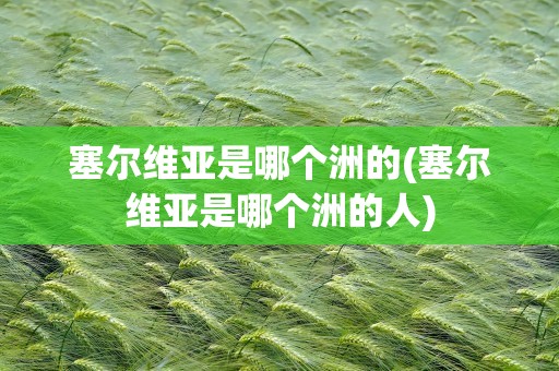 塞尔维亚是哪个洲的(塞尔维亚是哪个洲的人)