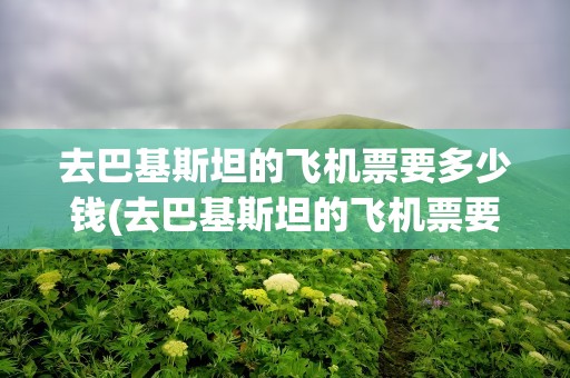 去巴基斯坦的飞机票要多少钱(去巴基斯坦的飞机票要多少钱一张)