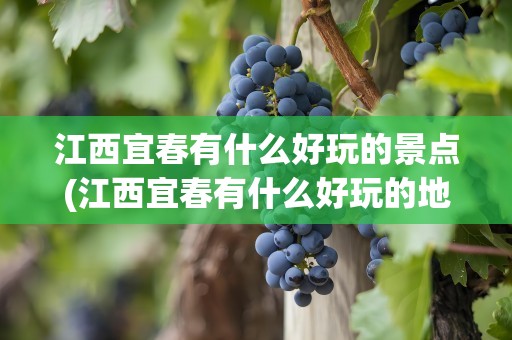 江西宜春有什么好玩的景点(江西宜春有什么好玩的地方)