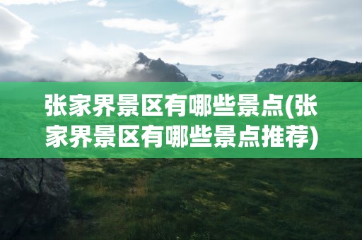 张家界景区有哪些景点(张家界景区有哪些景点推荐)