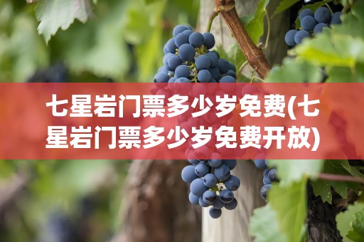 七星岩门票多少岁免费(七星岩门票多少岁免费开放)