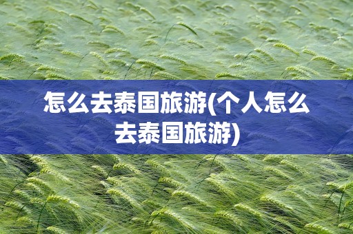 怎么去泰国旅游(个人怎么去泰国旅游)