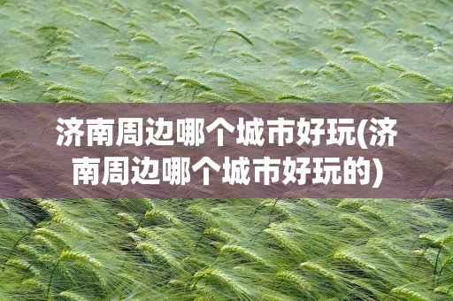 济南周边哪个城市好玩(济南周边哪个城市好玩的)
