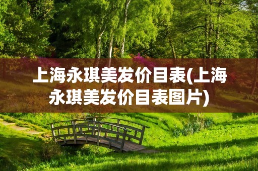 上海永琪美发价目表(上海永琪美发价目表图片)