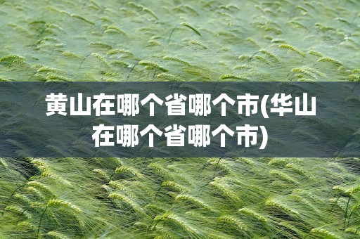 黄山在哪个省哪个市(华山在哪个省哪个市)