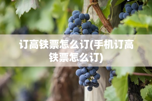 订高铁票怎么订(手机订高铁票怎么订)