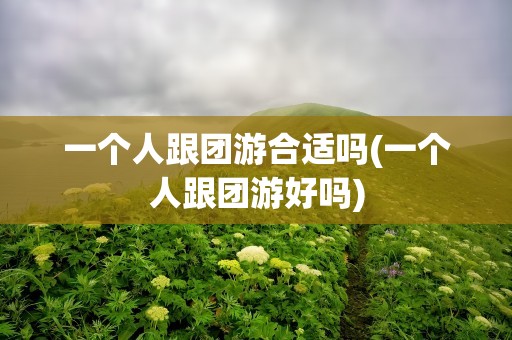一个人跟团游合适吗(一个人跟团游好吗)