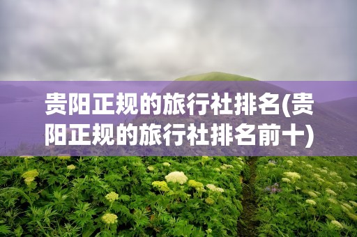 贵阳正规的旅行社排名(贵阳正规的旅行社排名前十)
