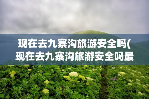 现在去九寨沟旅游安全吗(现在去九寨沟旅游安全吗最近)