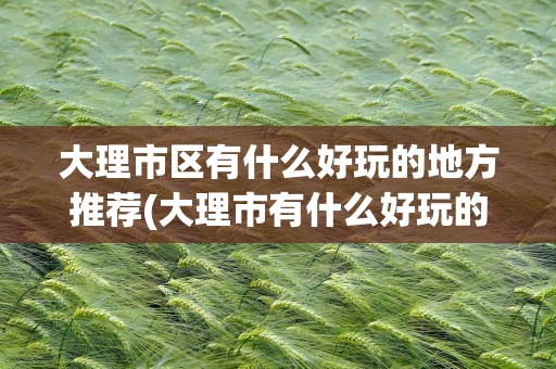 大理市区有什么好玩的地方推荐(大理市有什么好玩的地方景点推荐)