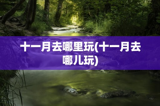 十一月去哪里玩(十一月去哪儿玩)